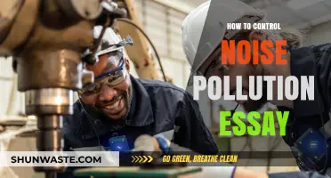 Controlling Noise Pollution: Strategies for a Quieter World