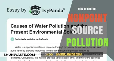 Controlling Nonpoint Source Pollution: Strategies for a Sustainable Future