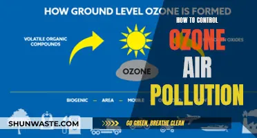 Controlling Ozone Air Pollution: Strategies for a Sustainable Future
