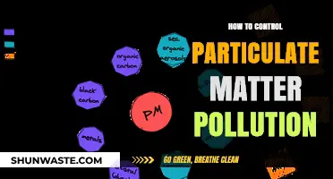 Controlling Particulate Matter Pollution: Strategies for Clean Air