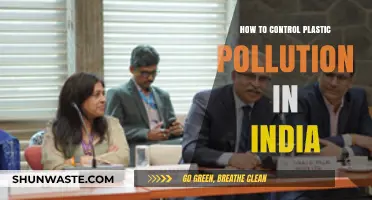 India's Plastic Pollution: Strategies for Control and Awareness