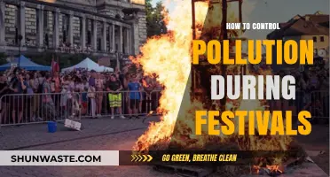Green Celebrations: Pollution Control for Festivals