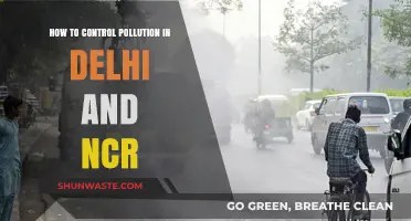 Delhi's Pollution: Strategies for a Sustainable Future