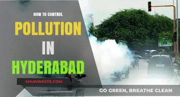 Hyderabad's Pollution Solution: Strategies for a Cleaner City