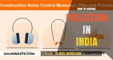 Controlling Pollution in India: Strategies for a Sustainable Future