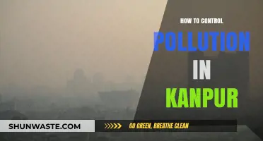 Kanpur's Pollution: Strategies for a Cleaner Tomorrow