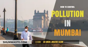 Mumbai's Pollution: Strategies for a Sustainable Future