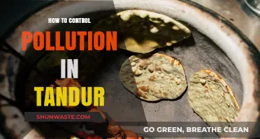 Controlling Pollution in Tandur: Strategies for a Greener Future