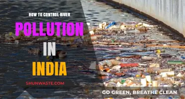 India's Rivers: Controlling Pollution for a Sustainable Future