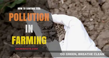Soil Pollution: Strategies for Sustainable Farming