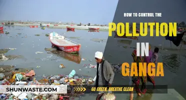 Ganga's Future: Pollution Control Measures and Strategies