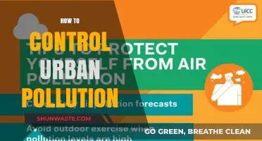 Controlling Urban Pollution: Strategies for a Greener Tomorrow