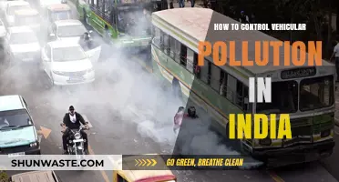 Controlling Vehicular Pollution in India: Strategies and Solutions