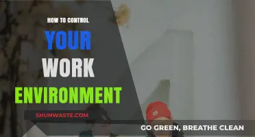 Master Your Workspace: Strategies to Control and Optimize Your Work Environment