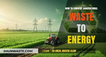Transforming Farm Waste into Clean Energy: Sustainable Solutions for Agriculture