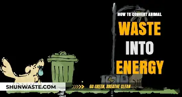 Transforming Animal Waste into Clean Energy: A Sustainable Power Solution