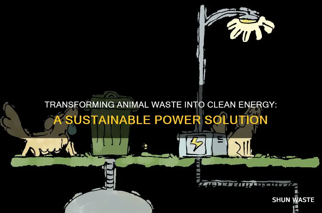 how to convert animal waste into energy