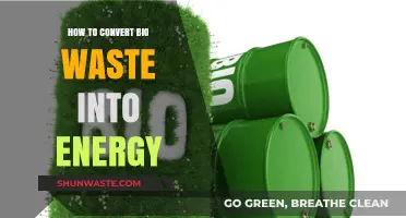 Transforming Bio Waste into Clean Energy: Sustainable Solutions for a Greener Future