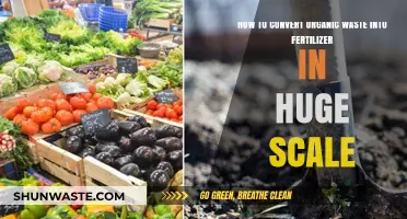 Transforming Organic Waste into Large-Scale Fertilizer: A Sustainable Solution