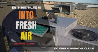 Converting Polluted Air: Fresh Solutions for Cleaner Breathing