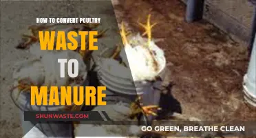 Transforming Poultry Waste into Nutrient-Rich Manure: A Sustainable Guide