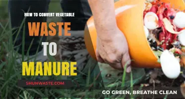 Transforming Vegetable Scraps into Nutrient-Rich Manure: A Sustainable Guide
