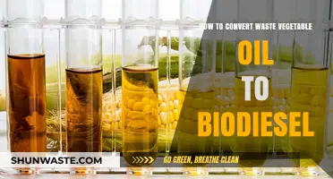 Transforming Waste Vegetable Oil into Biodiesel: A Sustainable DIY Guide