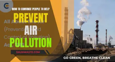 Helping Prevent Air Pollution: Persuasion for a Greener Tomorrow