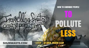 Persuading People to Reduce Pollution: Effective Strategies