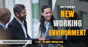 Navigating New Workplaces: Strategies for Adapting and Thriving Successfully