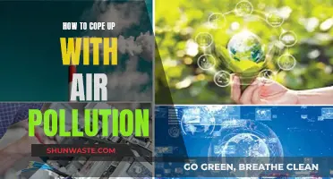Breathing Easy: Strategies for Battling Air Pollution
