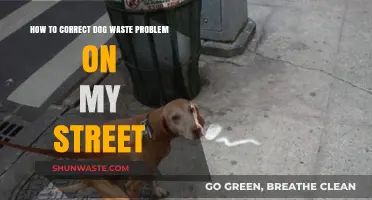 Tackling Dog Waste on Your Street: Effective Solutions for a Cleaner Community
