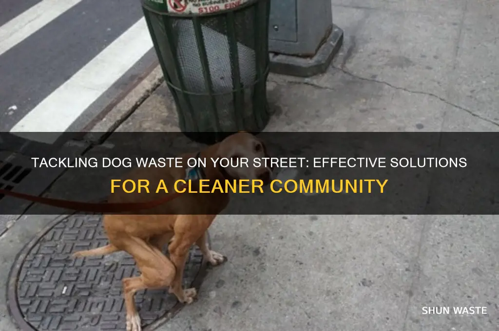 how to correct dog waste problem on my street