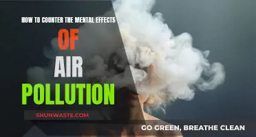 Breathe Easy: Strategies for Combating Air Pollution's Mental Impact