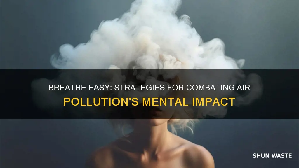 how to counter the mental effects of air pollution