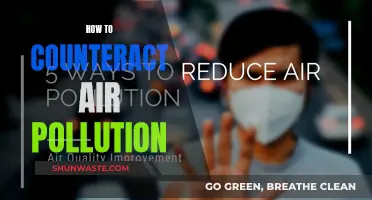 Combat Air Pollution: Strategies for a Cleaner Tomorrow