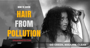 Protect Your Hair: Shield from Pollution with Care