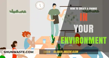 Transform Your Surroundings: Practical Steps to Create Lasting Environmental Change