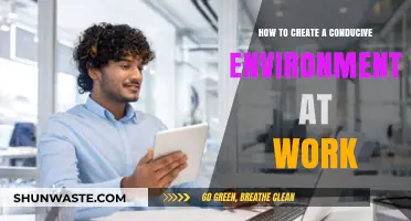 Fostering Productivity: Crafting a Positive and Efficient Workplace Environment