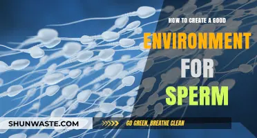Optimizing Male Fertility: Creating an Ideal Environment for Healthy Sperm
