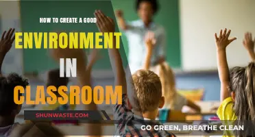 Fostering a Positive Classroom Environment: Strategies for Engagement and Learning
