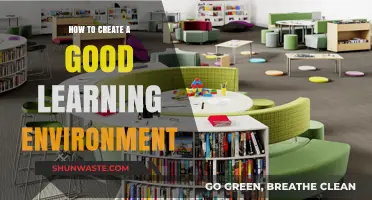 Crafting Optimal Learning Spaces: Strategies for Effective Educational Environments