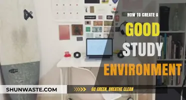 Crafting the Perfect Study Space: Tips for Focus and Productivity