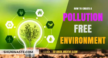 Creating a Green, Pollution-Free Environment