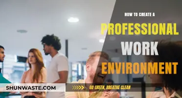 Crafting a Professional Work Environment: Strategies for Success and Productivity
