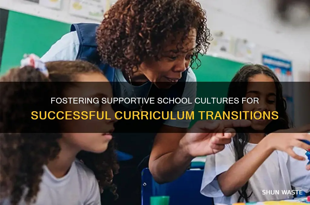how to create a supportive school environment for curriculum change