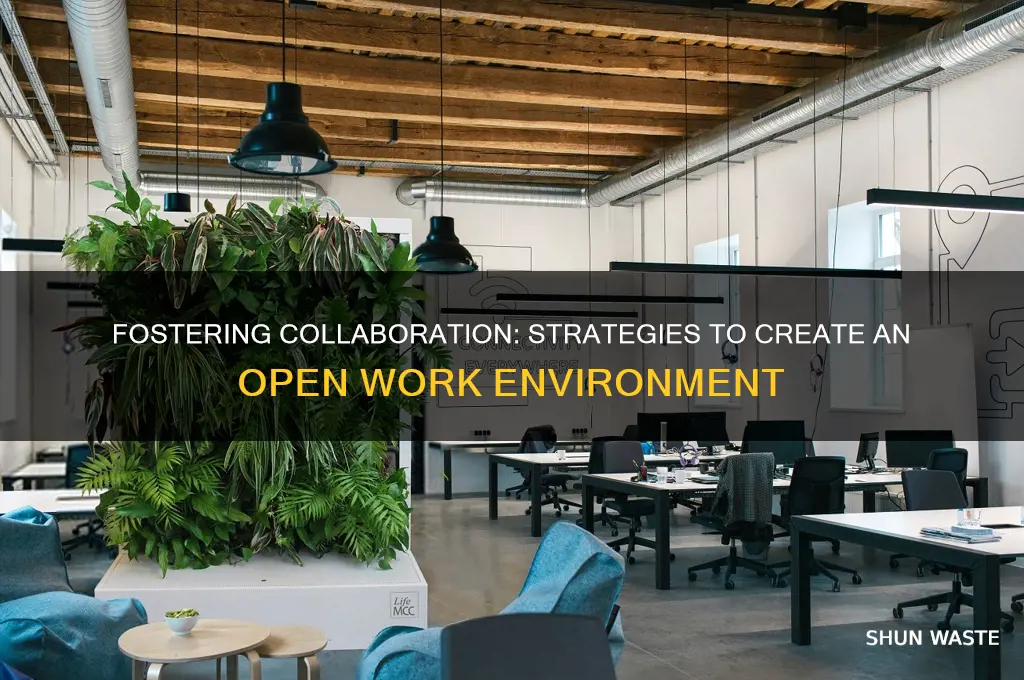 how to create an open work environment