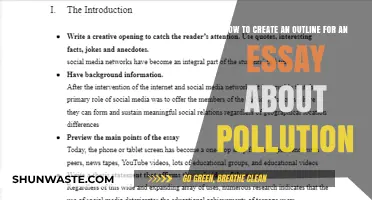 Crafting an Essay Outline: Pollution Topic