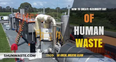Turning Human Waste into Clean Energy: A Sustainable Power Solution