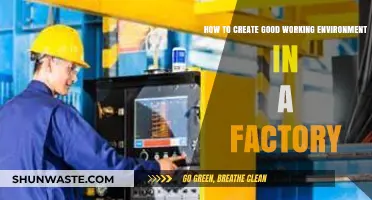 Fostering Productivity: Strategies for a Positive Factory Work Environment